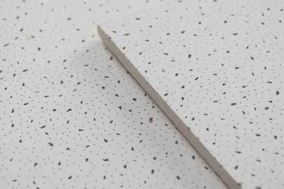Piastrelle di soffitto decorative in lana minerale con e la superficie del foro irregolare
