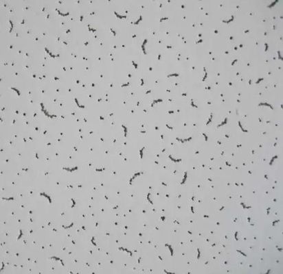 Piastrelle di soffitto decorative in lana minerale con e la superficie del foro irregolare