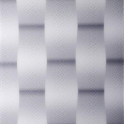 Pannello a parete composito in PVC 3D per le opzioni di dimensioni delle sale riunioni e i disegni personalizzabili