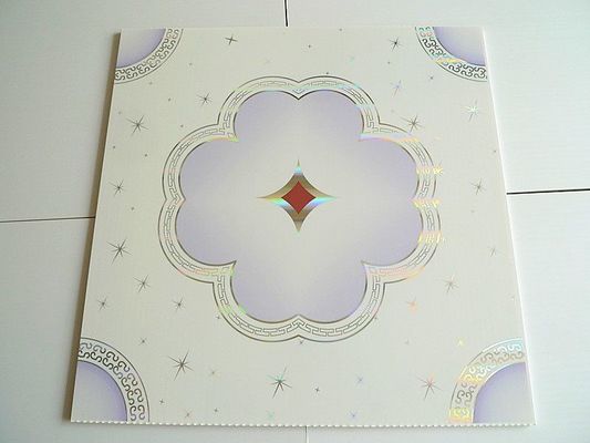 Tavola composita in PVC 3D per pareti e soffitti Decorativa Dimensione Ect pd109 Materiale durevole