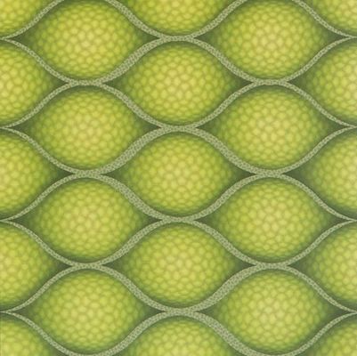 PD117 Pannello in PVC 3D impermeabile per pareti e soffitti Peso lordo 3.000 kg