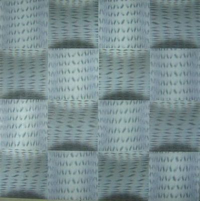 460mm*460mm Dimensione 3D PVC pannelli di parete/soffitto in plastica per decorazioni interne Molti disegni