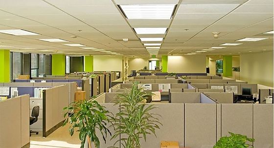 Pannello di piastrelle sospese decorative per isolamento acustico in 300*300