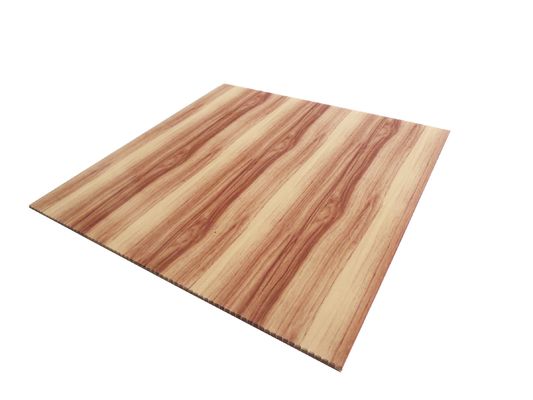 Pannello a parete 3D in plastica impermeabile personalizzato per decorazioni d'interni Dimensione 460mm*460mm