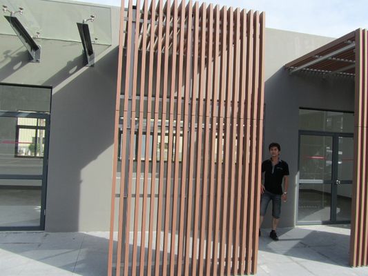 Recinzione esterna in legno di plastica composita WPC NY75 * 25 con modello di grano di legno