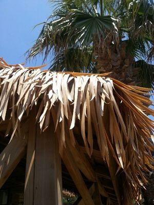 Paglia di tetto sintetica gialla tropicale africana personalizzata per la decorazione del tetto al meglio