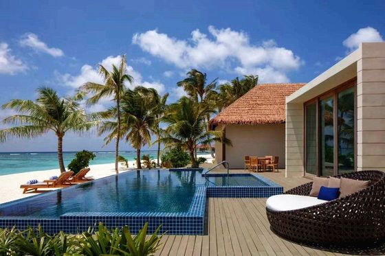 Non sbiadire Prevenzione incendi Piastrelle di tetto piatto per la simulazione ambientale Tetti di paglia