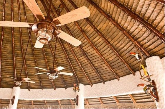Reti artificiali di resina sintetica africana per tetto ambiente di simulazione in forte domanda