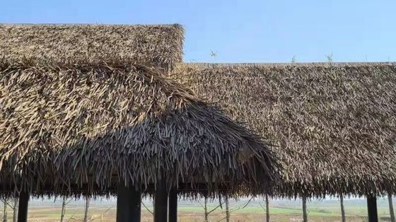 Decorazione esteriore piastrelle di tetto di paglia con caratteristica mai sbiadire e lunga durata