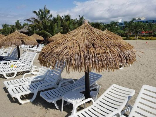Vendite globali Bella ed elegante piastrella di tetto di paglia per la decorazione naturale
