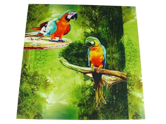 Pannello 3D impermeabilizzante per la decorazione delle pareti interne in 500mmx500mm