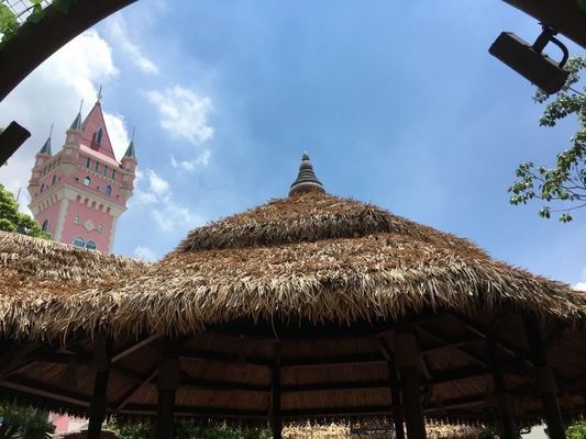 Piastrelle di tetto di paglia in PVC personalizzate per bar da giardino / in riva al mare facili da installare e mantenere