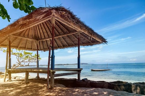 Disegno di tetto di paglia sintetica grigia personalizzato per bar da giardino / in riva al mare e personalizzato