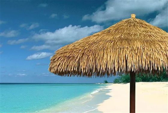 Piastrelle di tetto in PVC decorativo con customizzazione