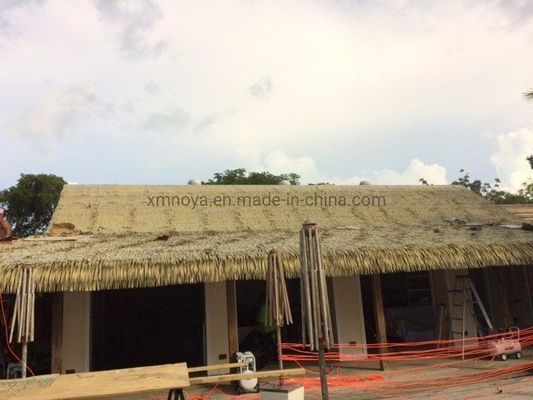 SGS testato e approvato