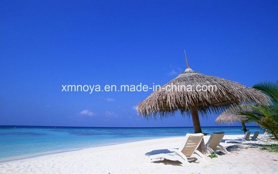 Materiale di copertura di paglia impermeabile personalizzato per spiaggia sintetica e dimensione personalizzata