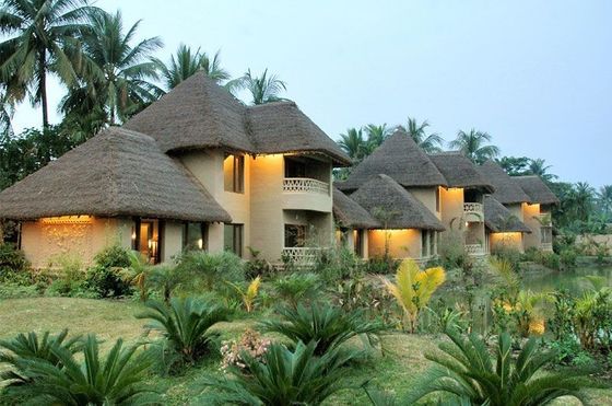 Aggiornamento a Noya Strawched Tile 1000 * 600 mm per Tiki Artificial Straw Roofing
