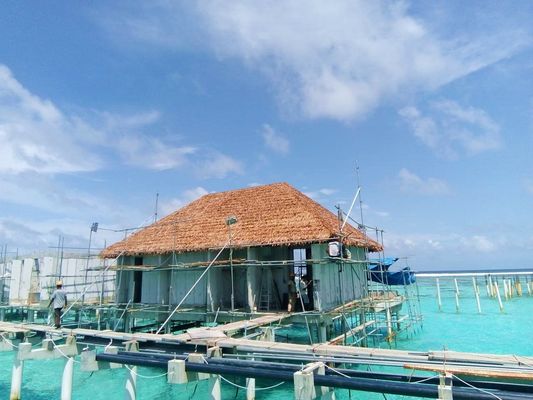 Soluzione per il tetto degli alberghi Anti-UV Foglie di palma sintetiche Tetti di paglia con materiale di nylon