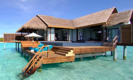 Piastrelle di tetto di paglia sintetica da 45*50cm e da 100*60cm