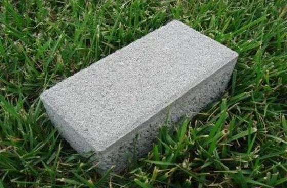 Stile sinterizzante grigio e rosso ceramica permeabile all'acqua mattoni per paver giardino stradale