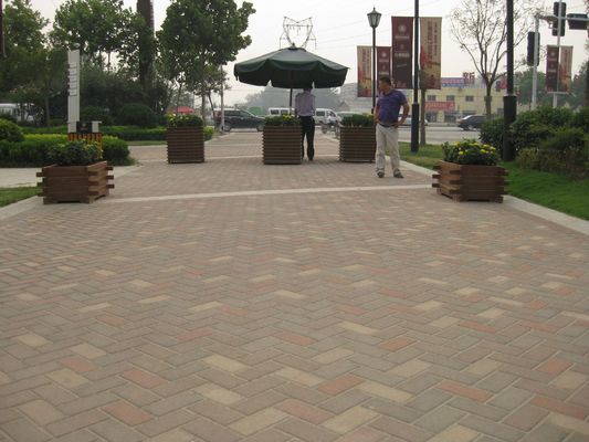 Antiche pietre da pavimentazione in mattoni impermeabili Perfetto per il giardino