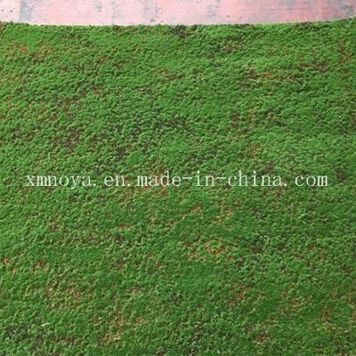 Muschio di tappeto verde di plastica per decorazioni di pareti ecologiche Durata di vita entro 5-10 anni
