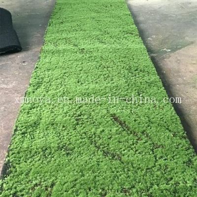 Piante artificiali di erba verde personalizzate in plastica per decorazioni interne e domestiche