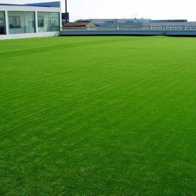 25 mm Altezza di pila PP Piana artificiale per campo da calcio NYG010 Area ricreativa