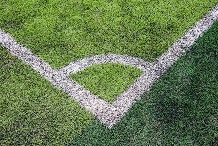 Erba artificiale per giardini e promozione paesaggistica da 2*25m di profilo croce di tipo olivico