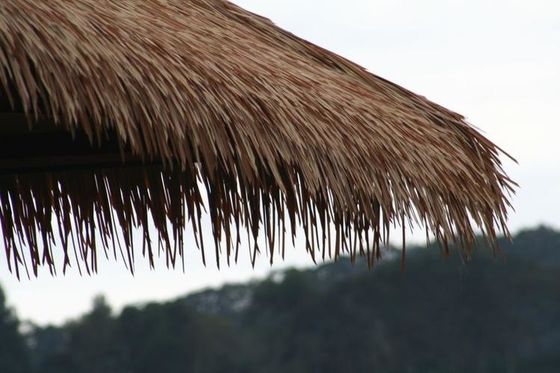 Piastrelle per soffitti alberghieri Materiale di paglia naturale / Piastra di paglia eco-compatibile con colore naturale