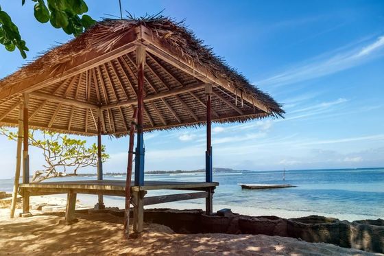 Buono prezzo Indonesia Plastico Artistic Dry Straw Gazebo Canopy Tent Pergolas Tende Sintetico Cottage Straw Dry Grass roof
