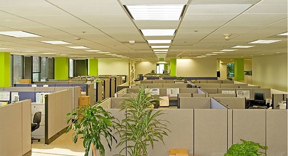 Pannello di piastrelle sospese decorative per isolamento acustico in 300*300